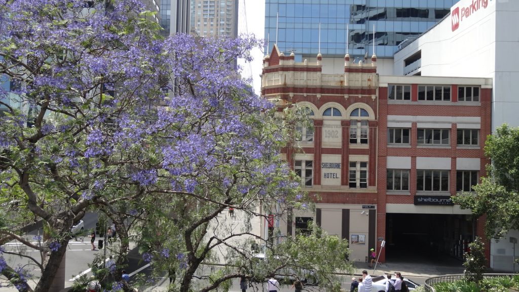 Vieux bâtiment et jacaranda fleuri vers Darling harbour