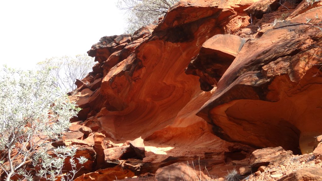 Rochers à Kings Canyon (17)