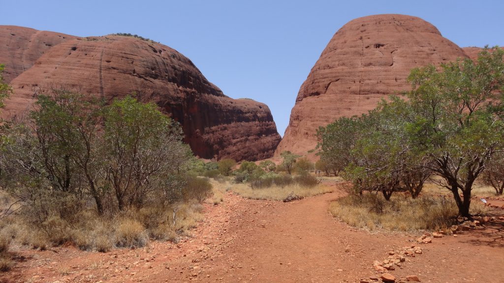 Une vallée dans les monts Kata Tjuṯa (21)