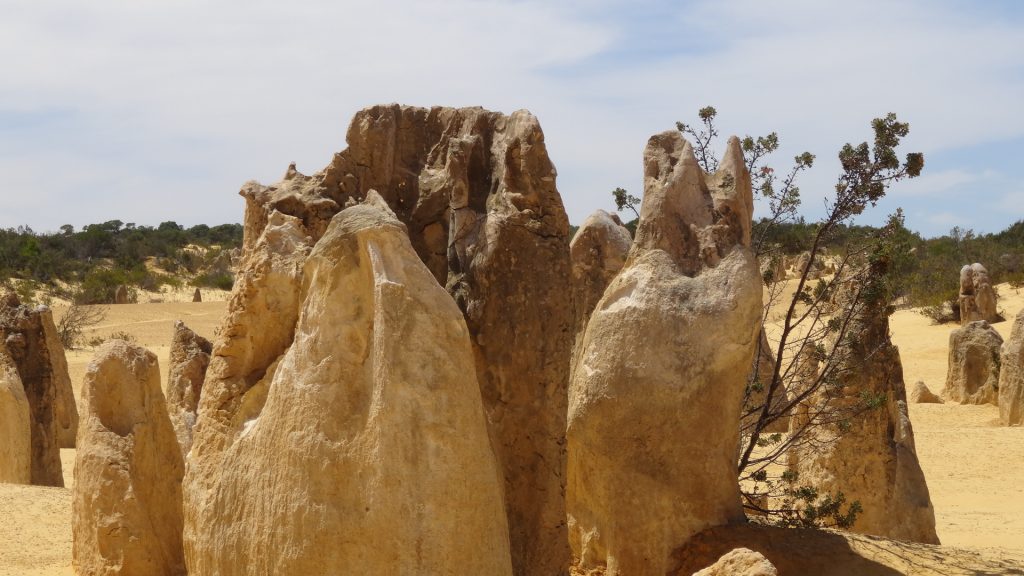 Le désert de Pinnacles au nord de Perth