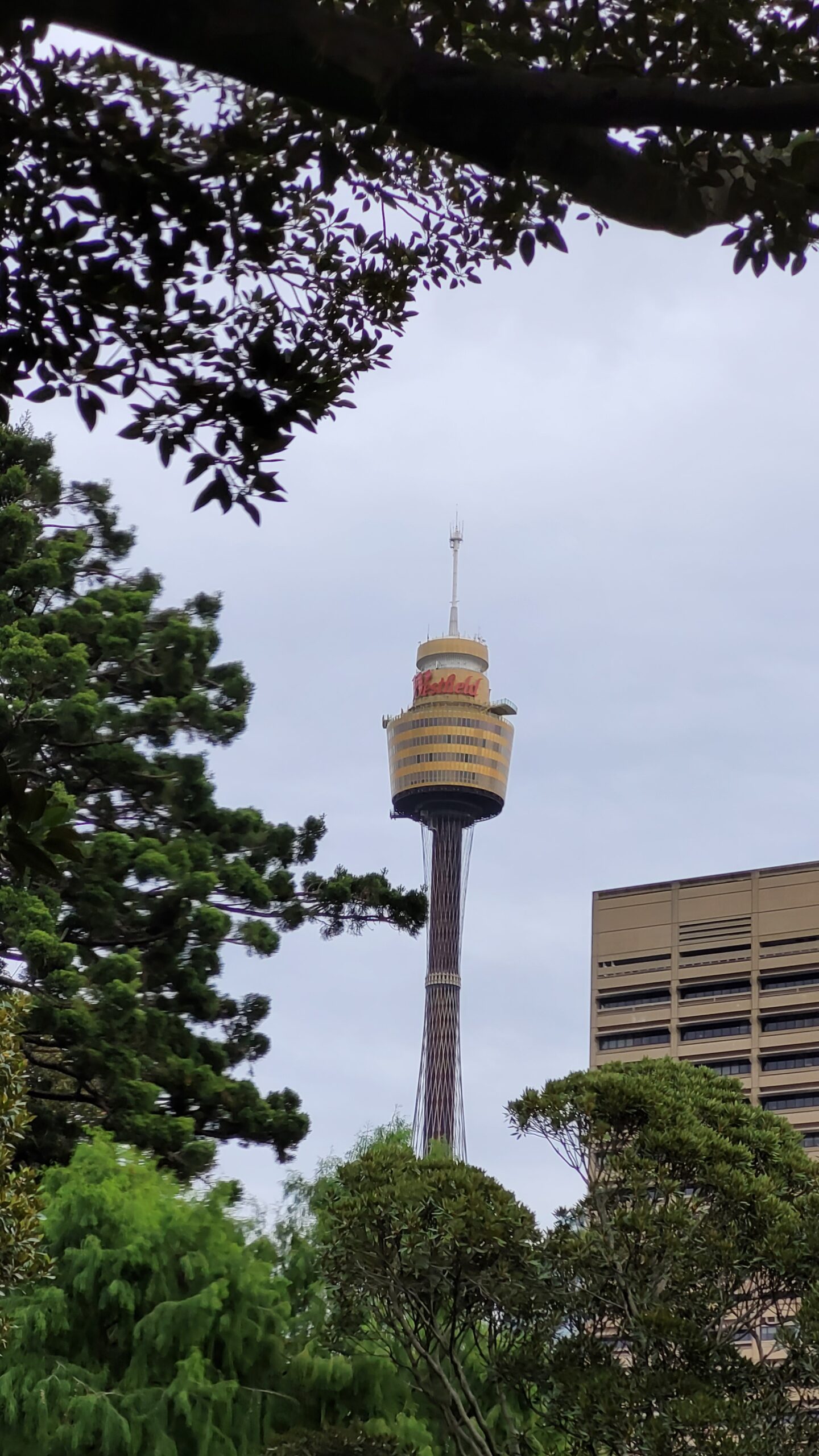 La Westfield Tower vue de Hide park