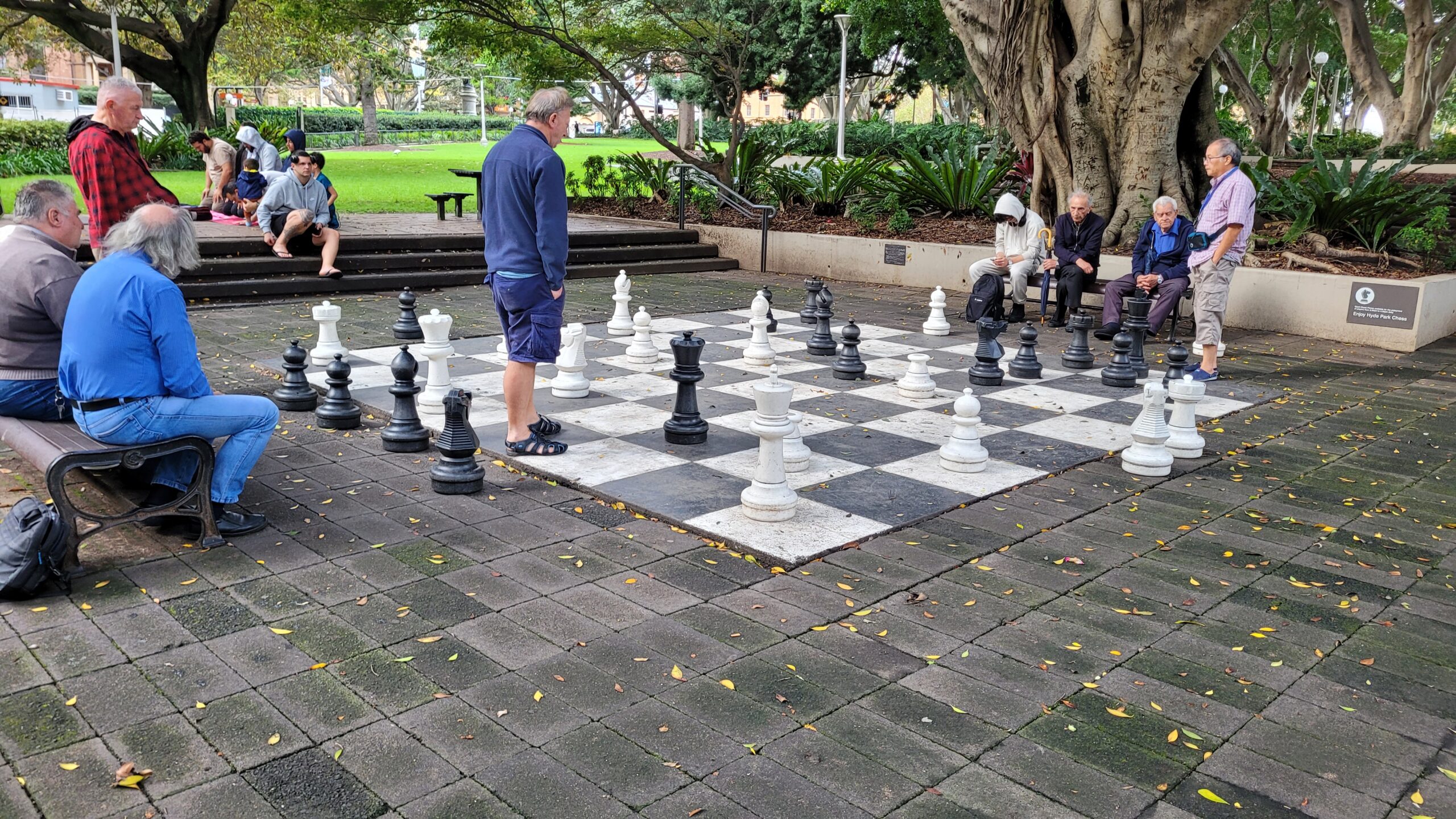 Une partie d'échec à Hyde park