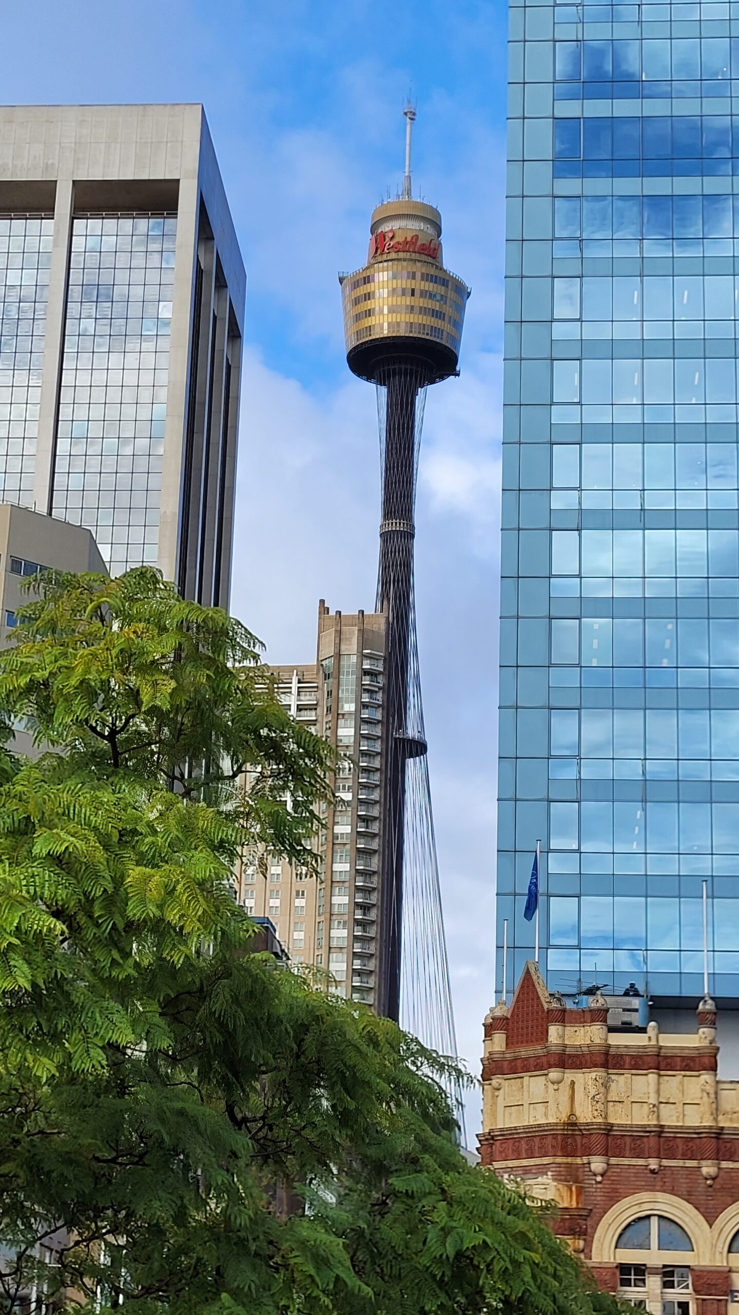 La Westfield Tower vue de Pyrmont bridge