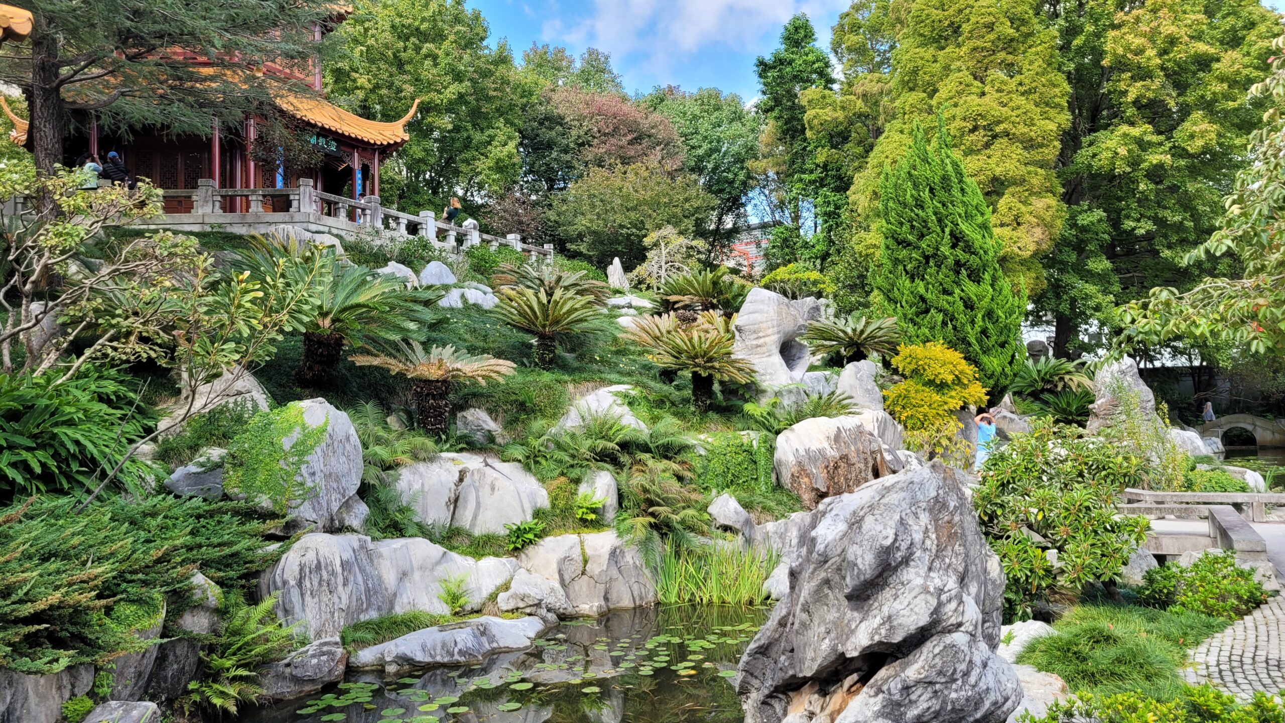 Dans le jardin chinois