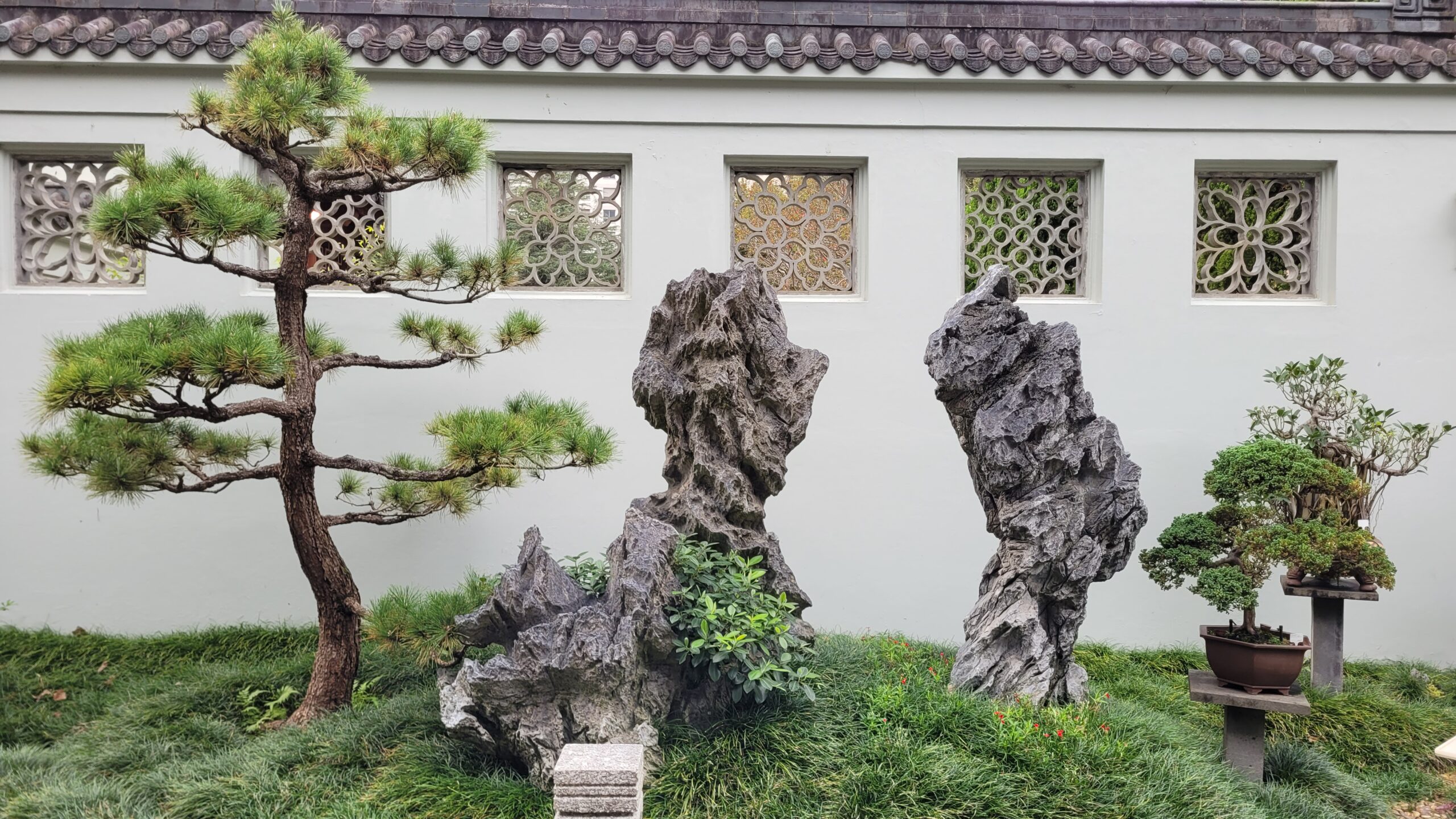 Dans le jardin chinois