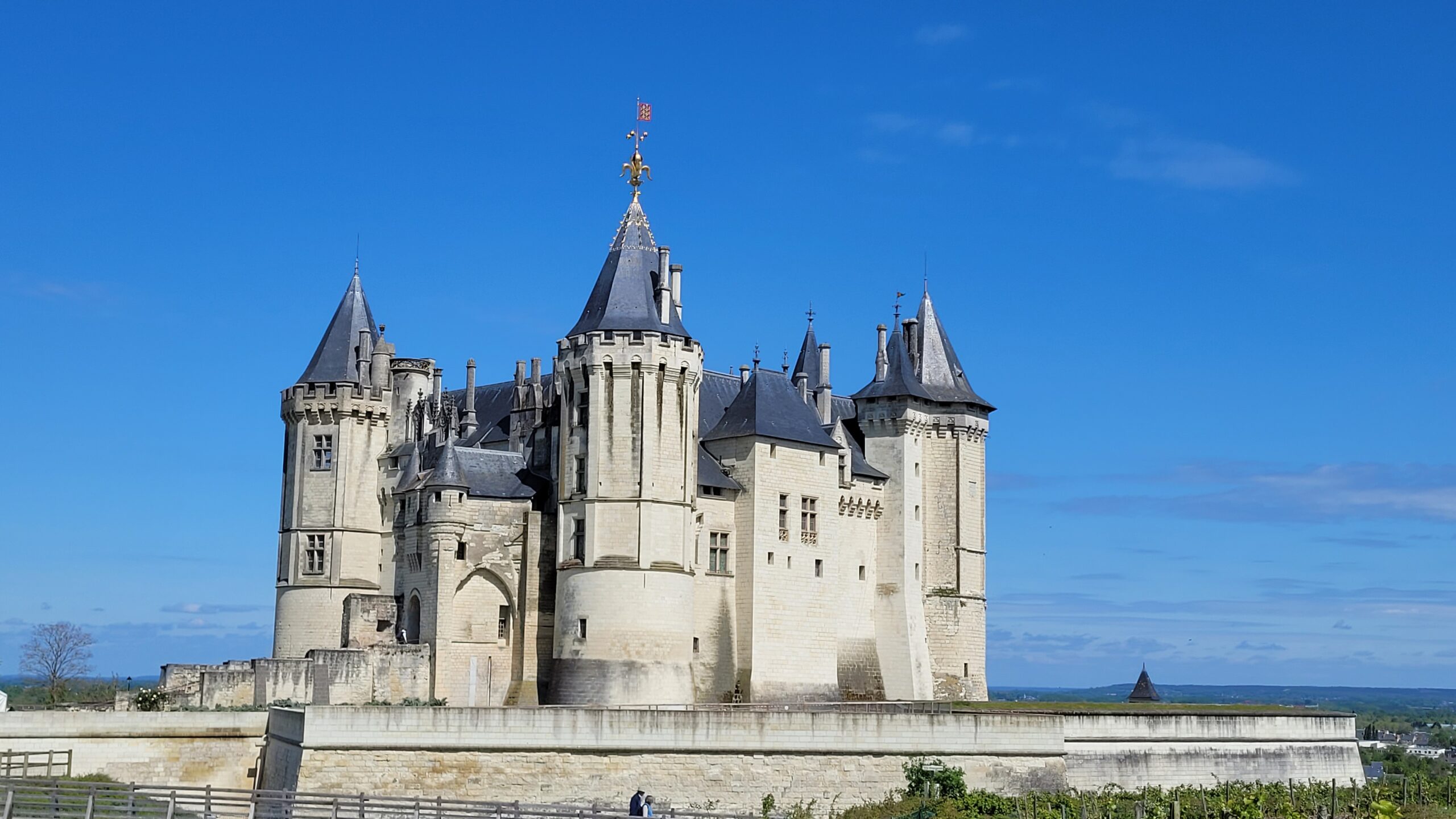 Le château de Saumur