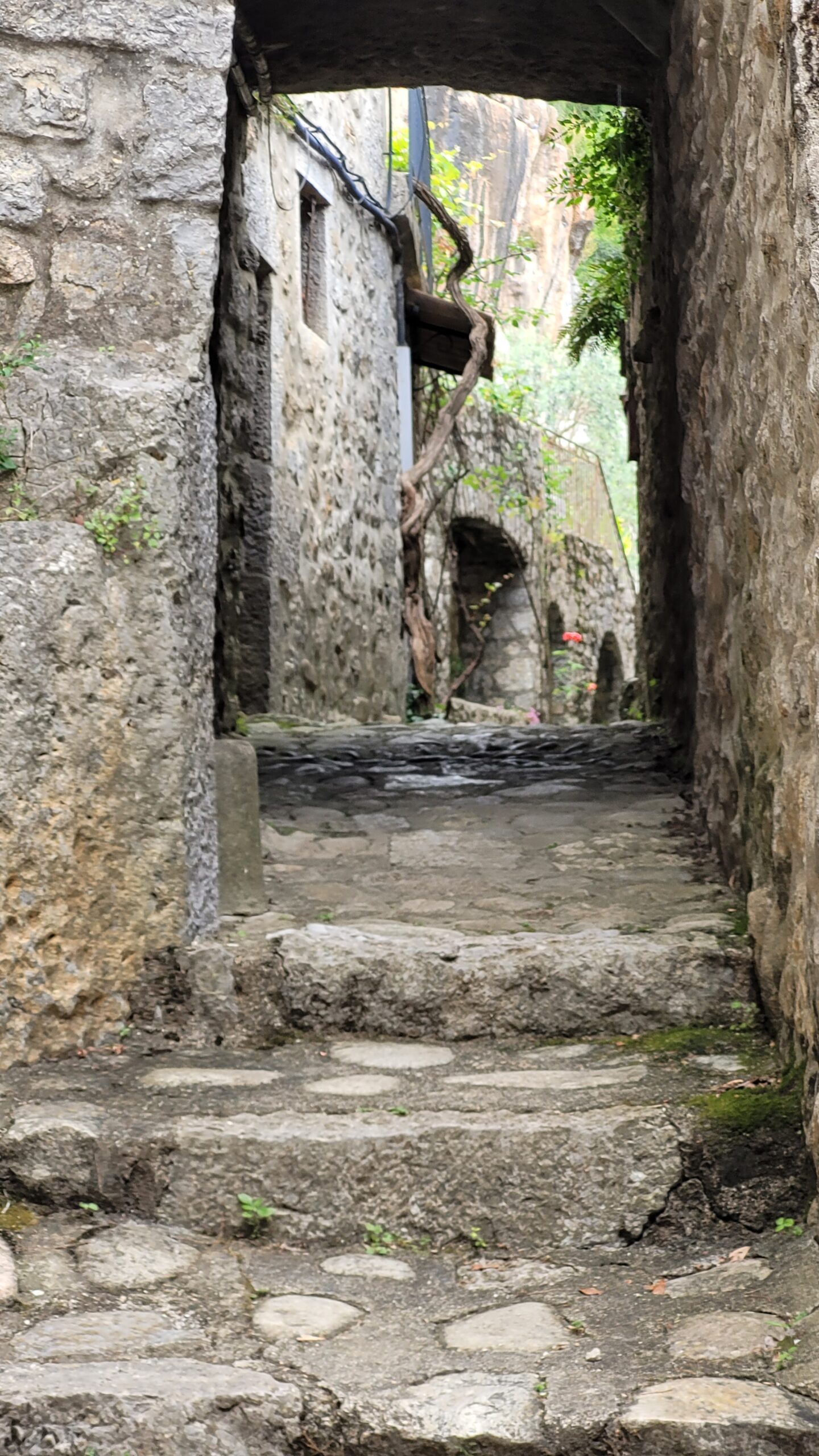 Une ruelle à Labeaume