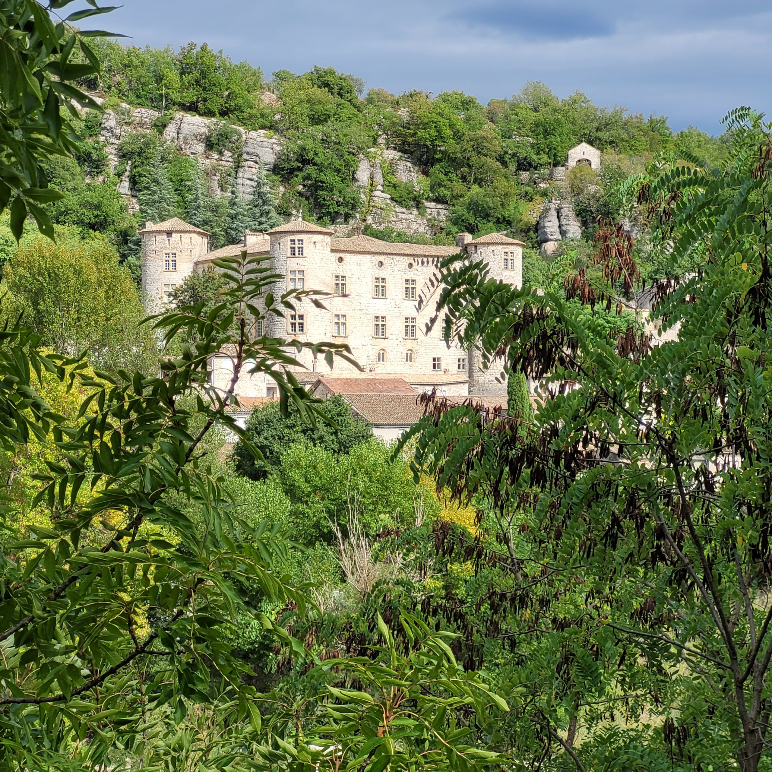 Le chateau de Voguë