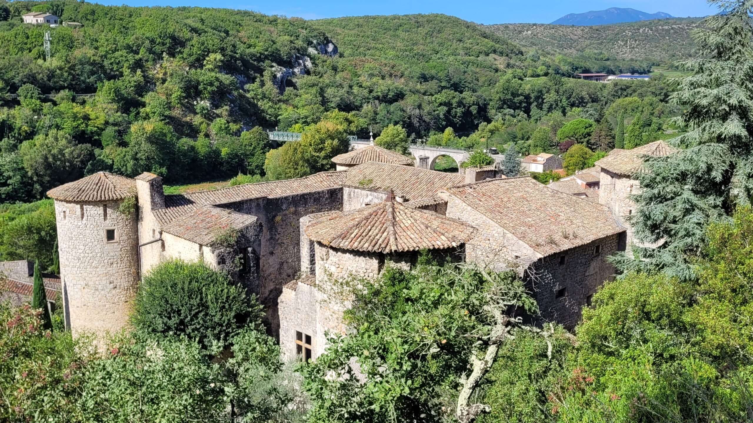Les toits du chateau de Voguë