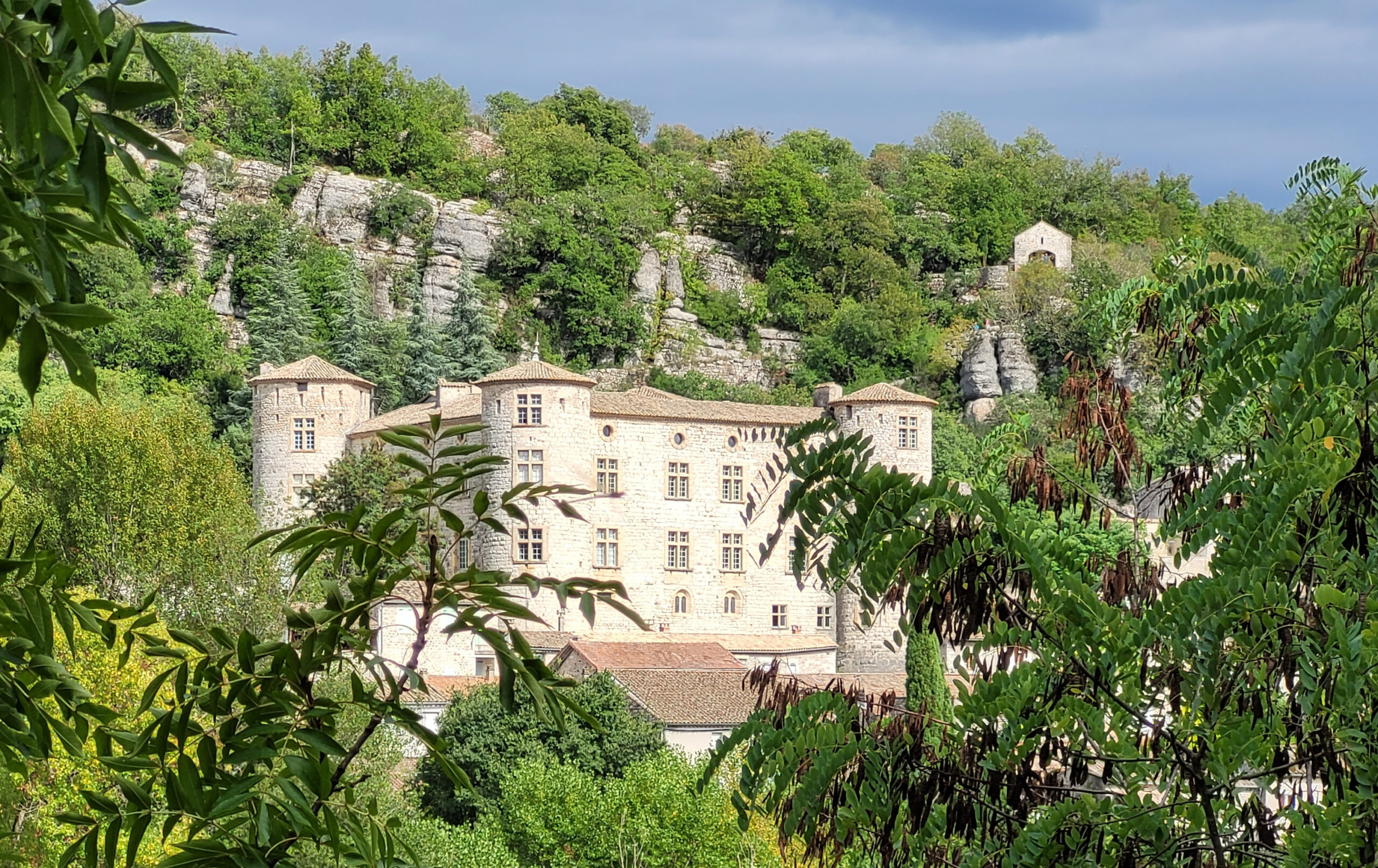 Chateau de Voguë