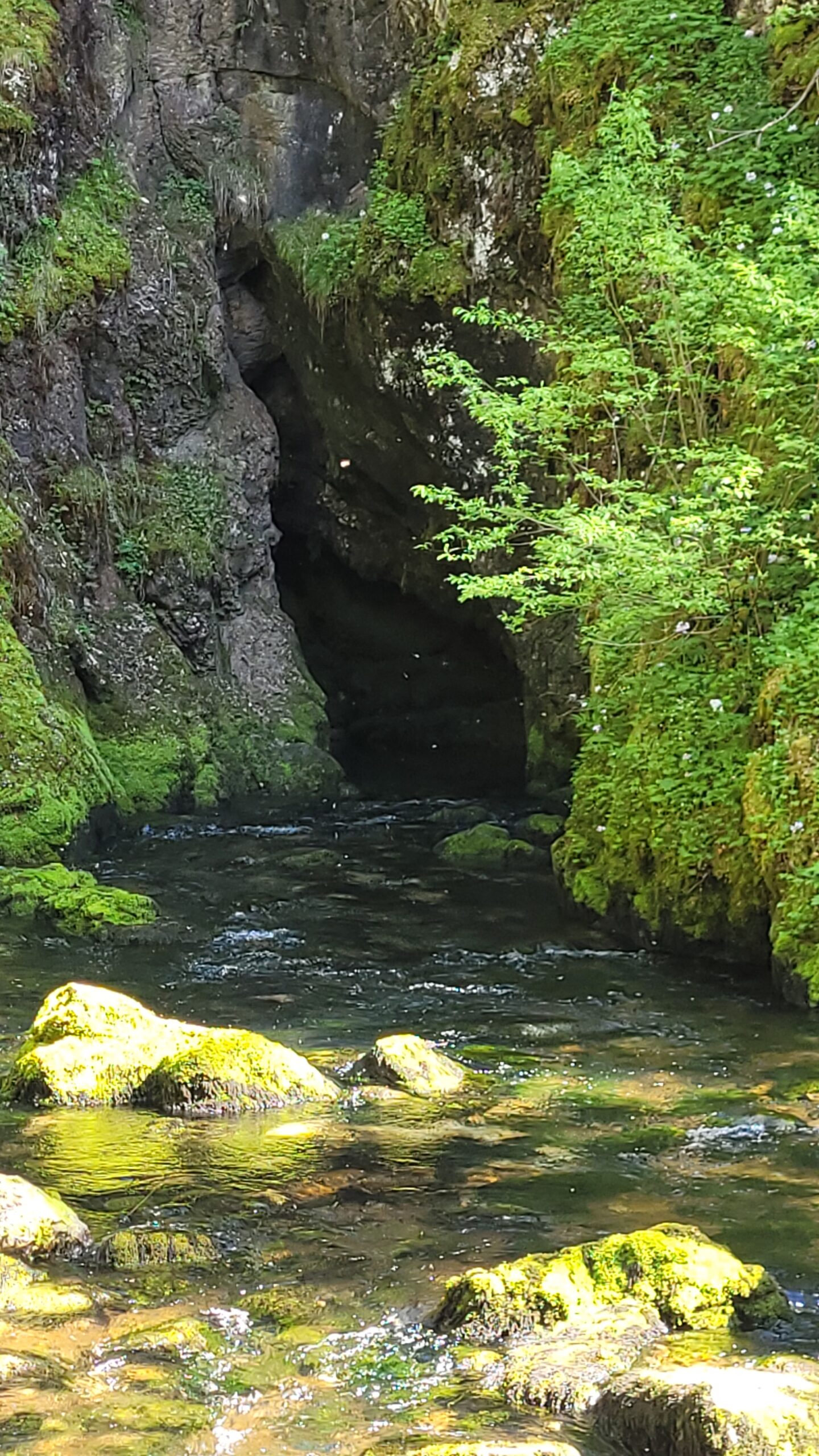 La source du Doubs