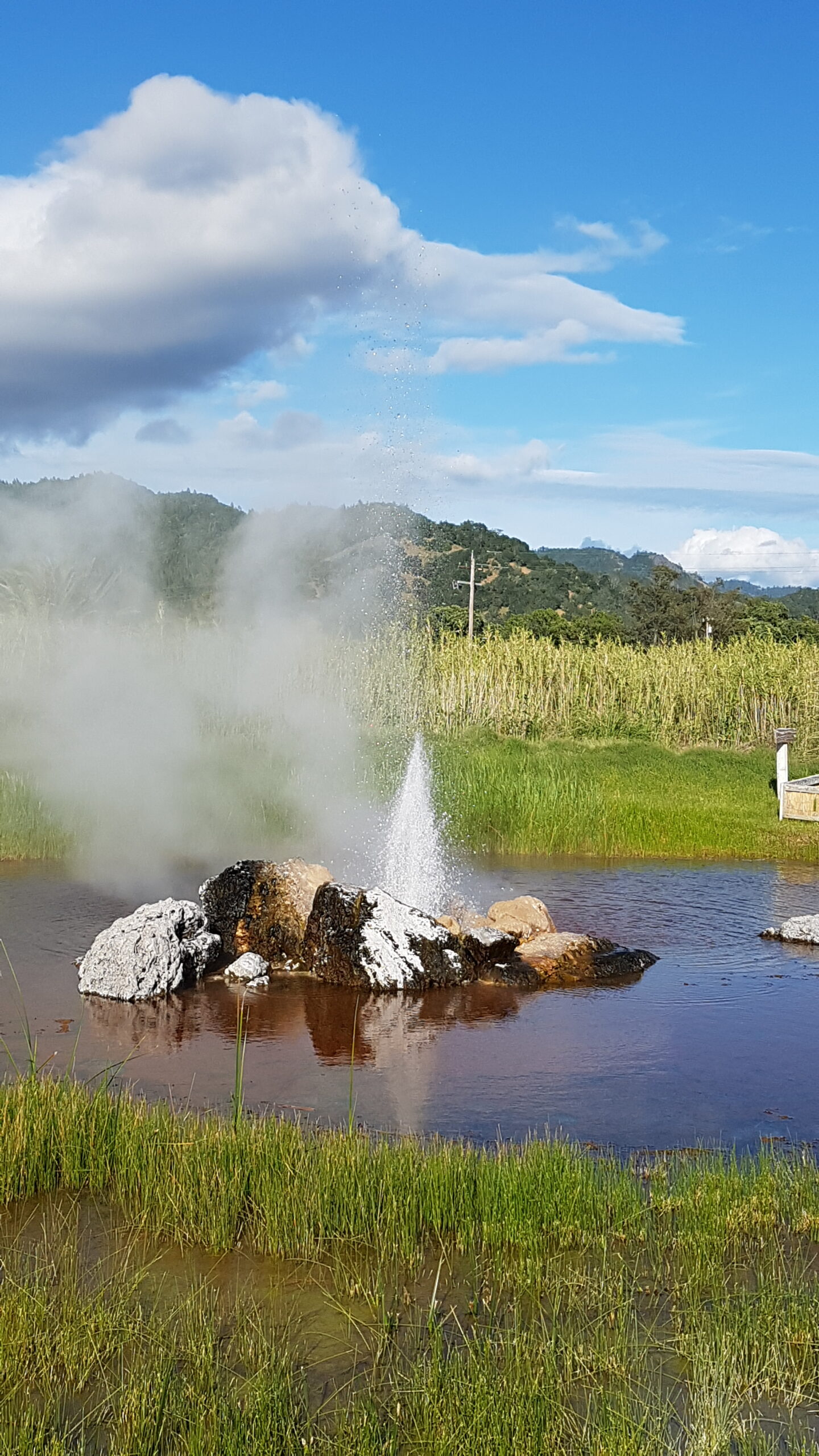 Le Geyser