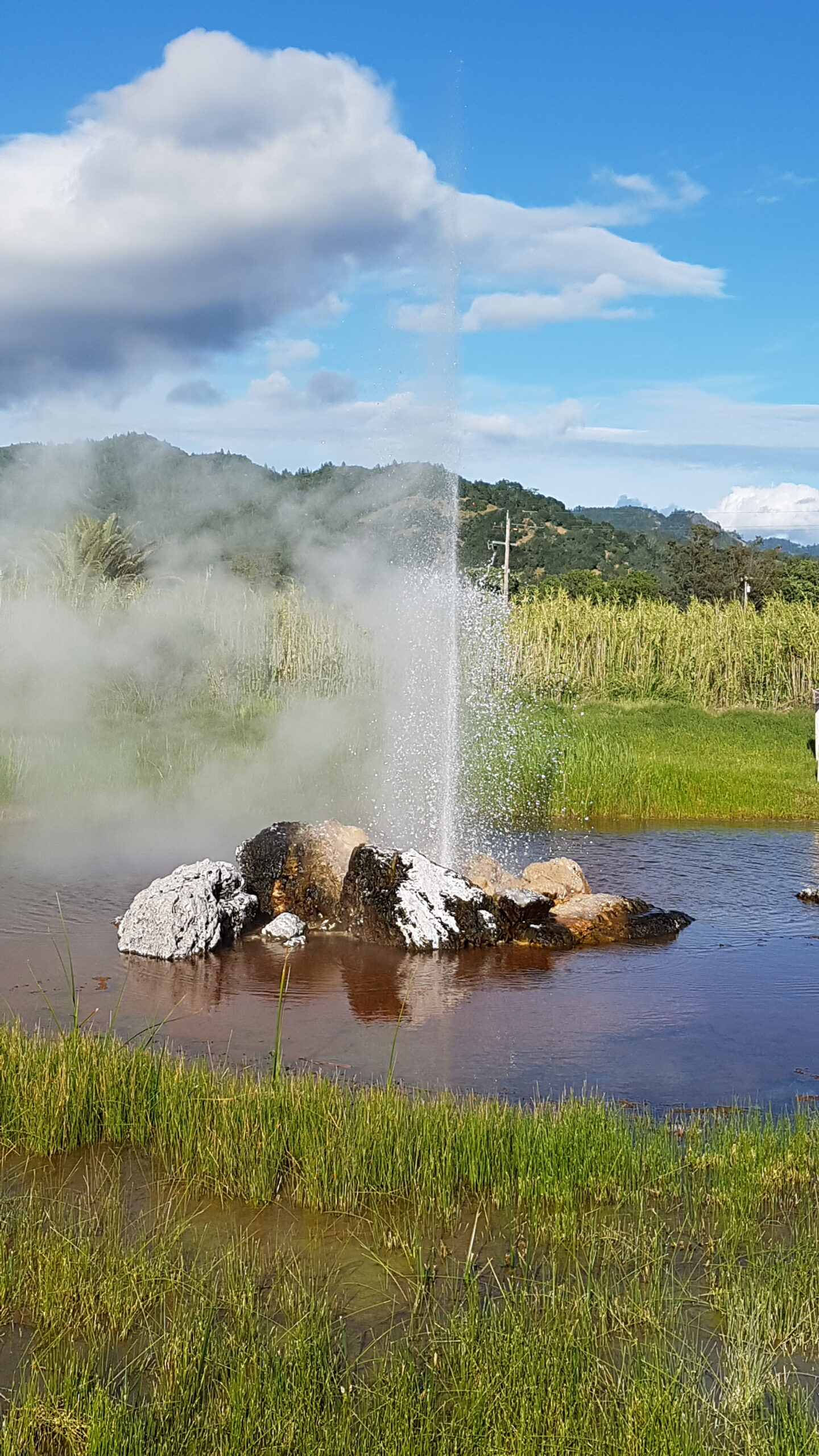 Le Geyser