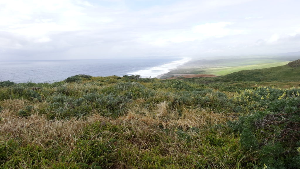 La côte vue du promontoire de Point-Reyes