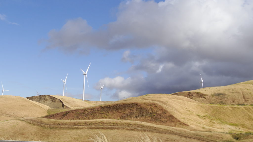 Un champ d'éoliennes