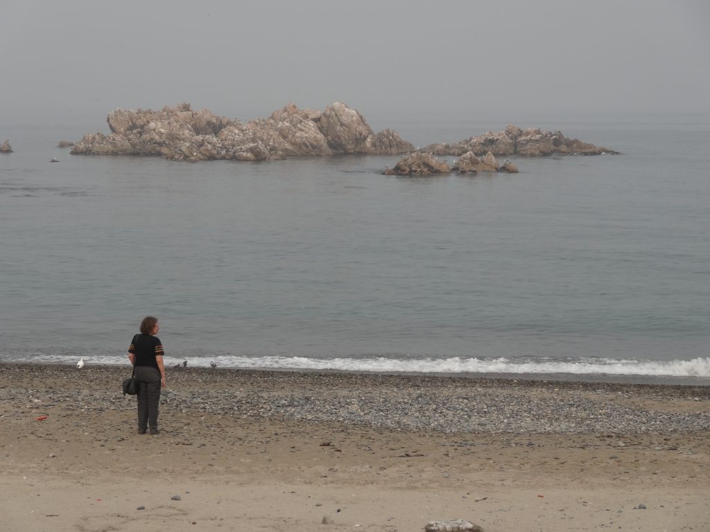 En contemplation devant la mer du Japon.