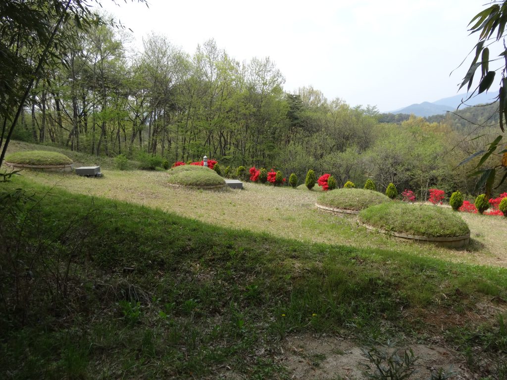 Des tombes en pleine campagne