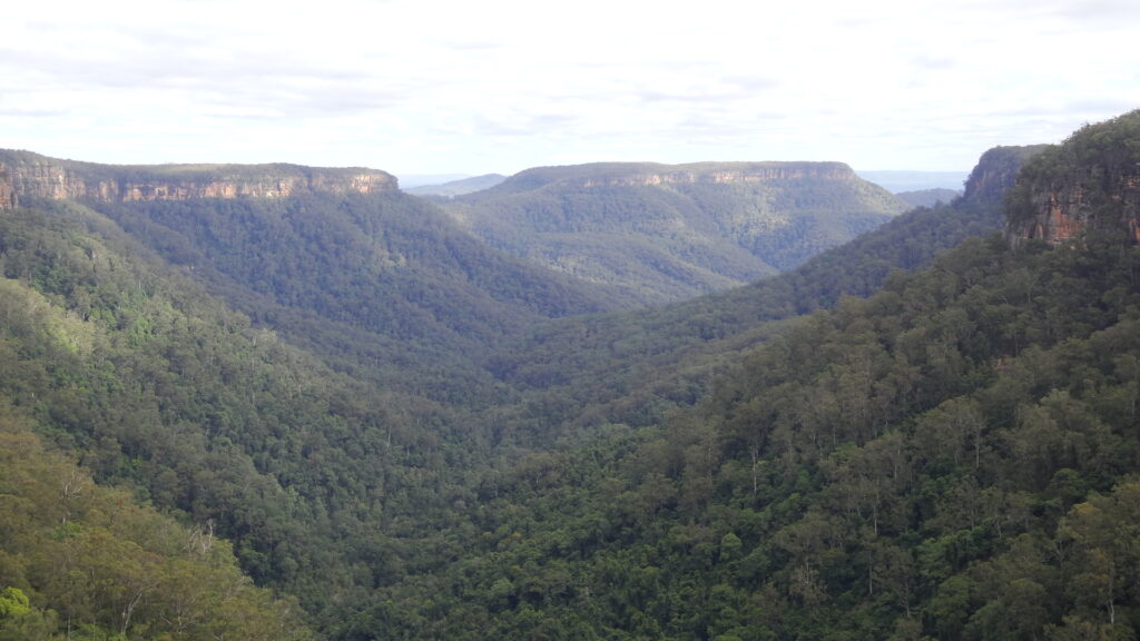 La vallée à Fitzroy Falls