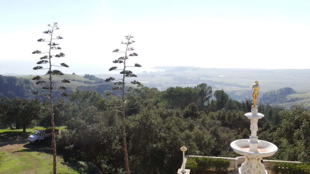 Vue sur San Simeon et le Pacifique depuis Hearst Castle