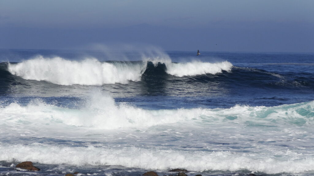 Les vagues à Pacific Grove