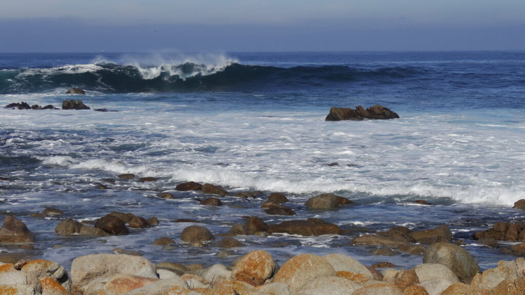 Un rouleau à Pacific Grove