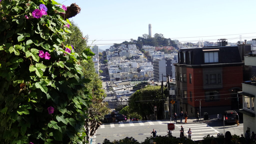 San Francisco - La Coit tower