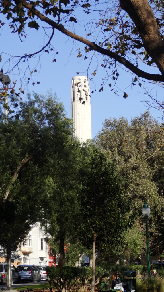 an Francisco - La Coit tower