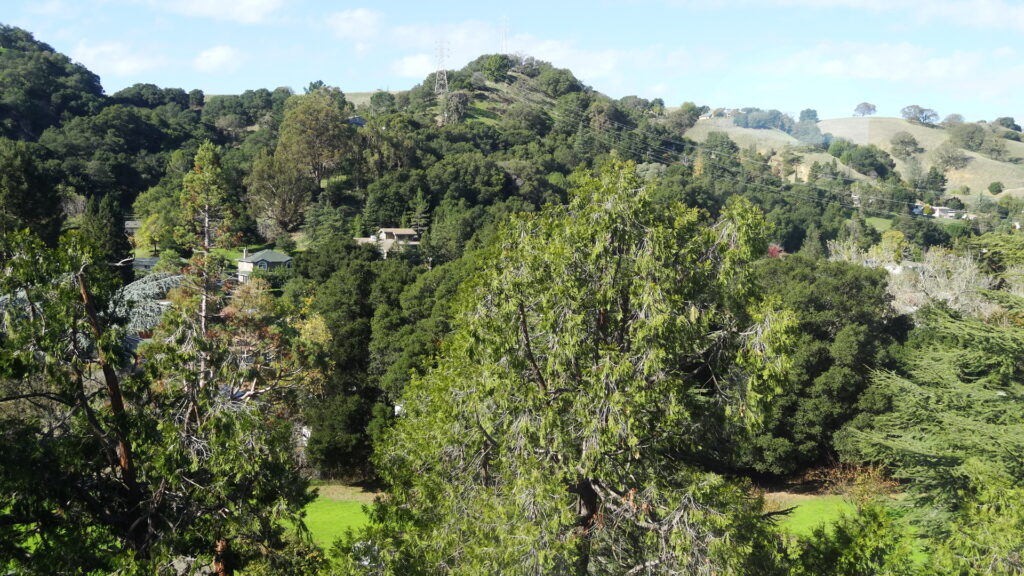 Vue depuis la Bell Tower de la maison de John Muir