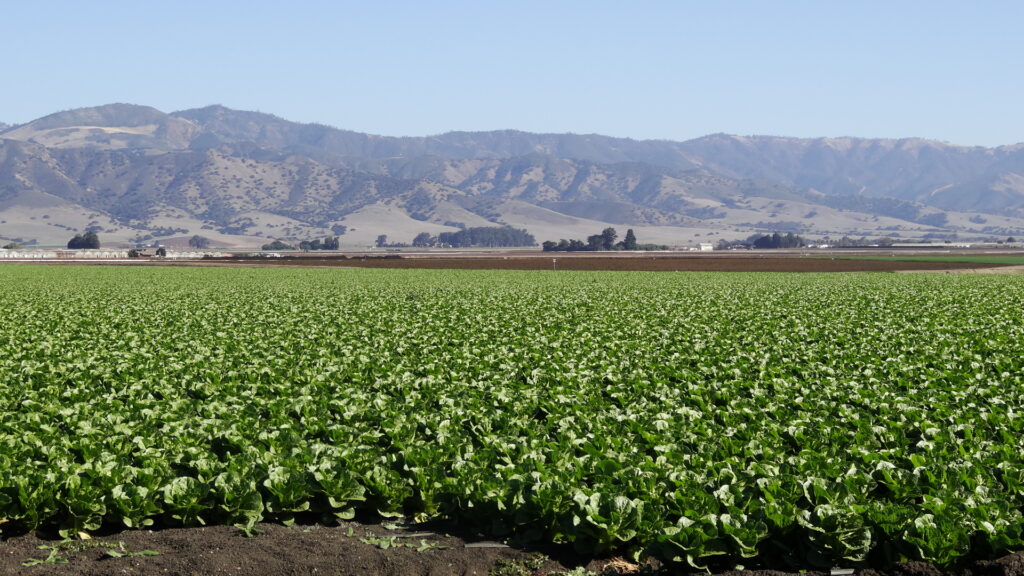 La vallée de la Salinas et la chaîne Gabilan