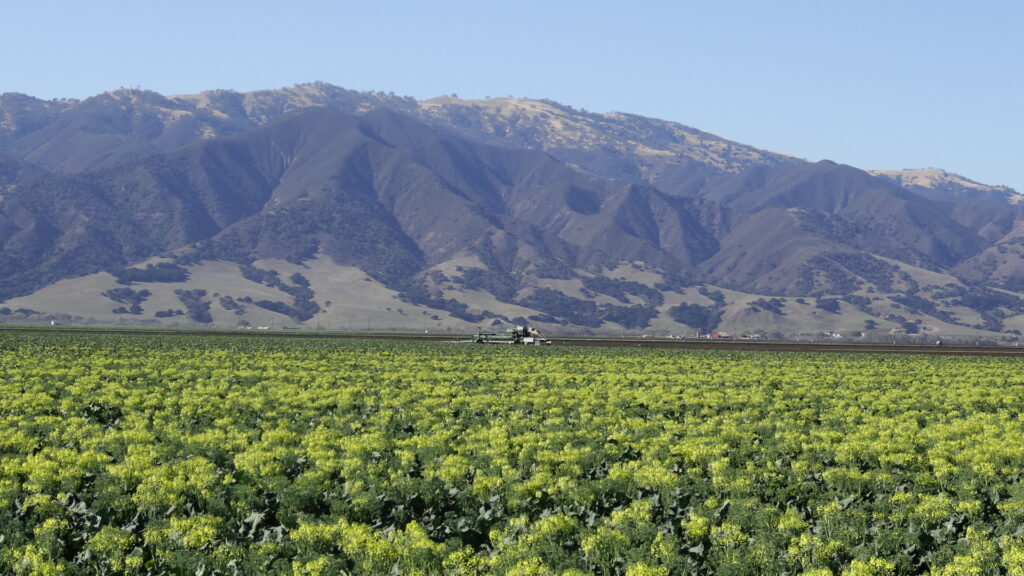 La vallée de la Salinas et la chaîne Santa Lucia