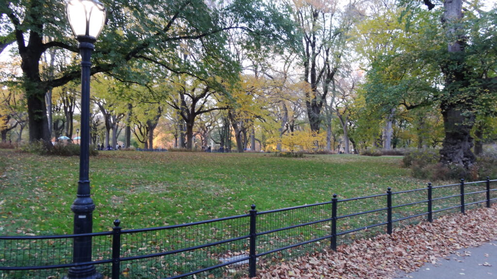 Un peu plus loin dans Central Park