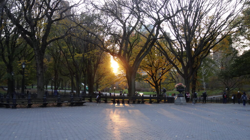 Le soleil se couche sur Central Park...